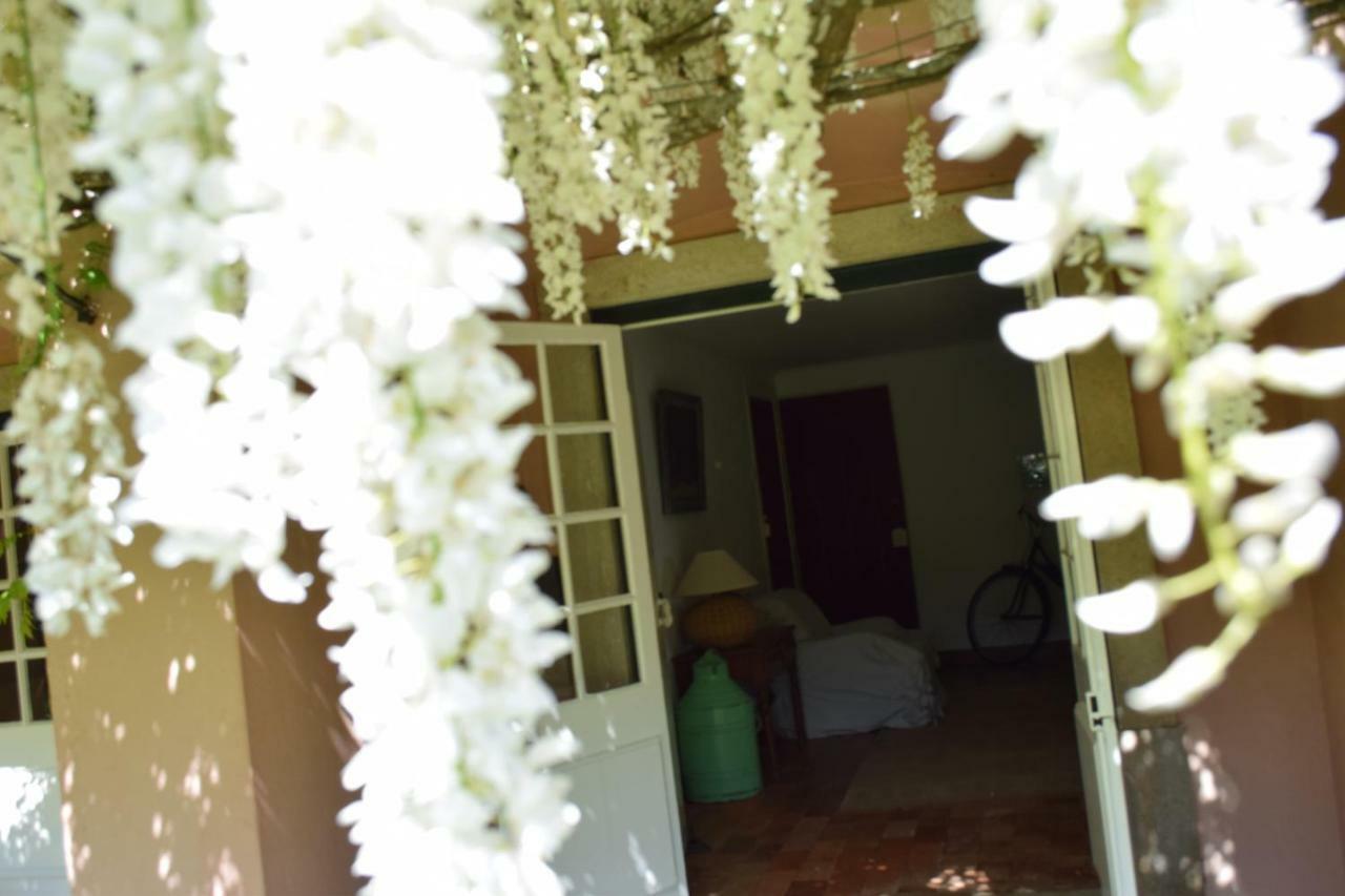 Quinta Da Varzea Villa Синтра Екстериор снимка